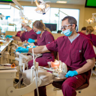 Roseman dental simulation