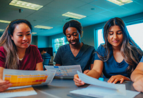 roseman nursing students