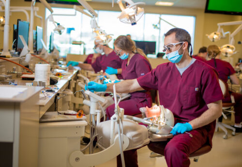 Doctor in Dentistry  Medical university of Dentistry