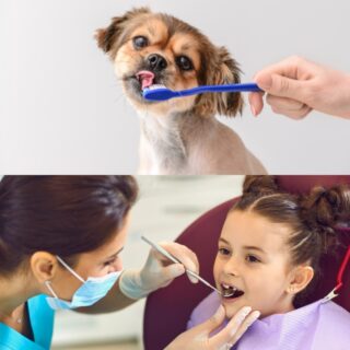 dog and children dental health