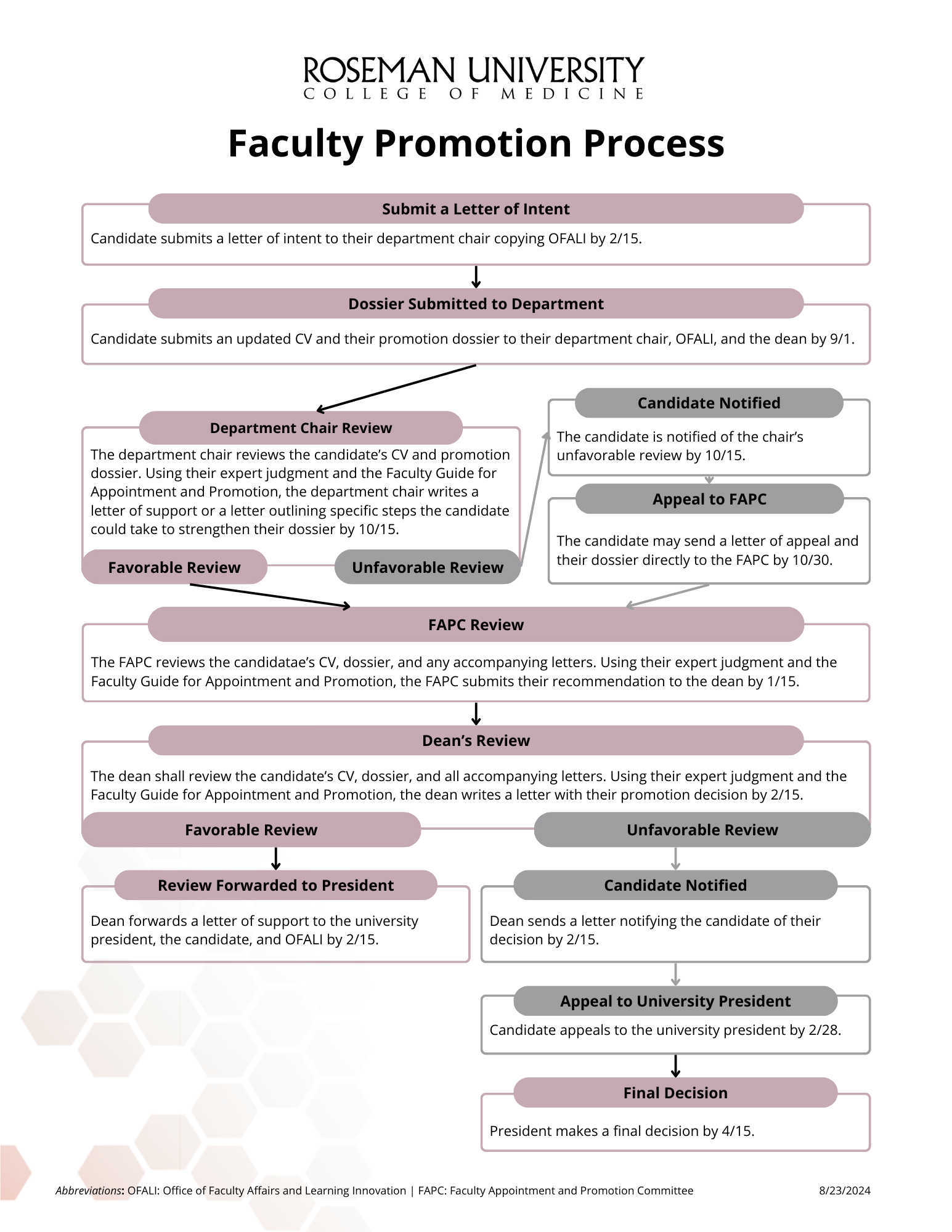 Roseman University College of Medicine faculty promotion process chart