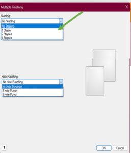 Roseman University printing guide
