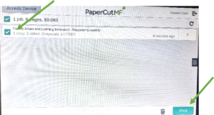 Roseman University printing guide
