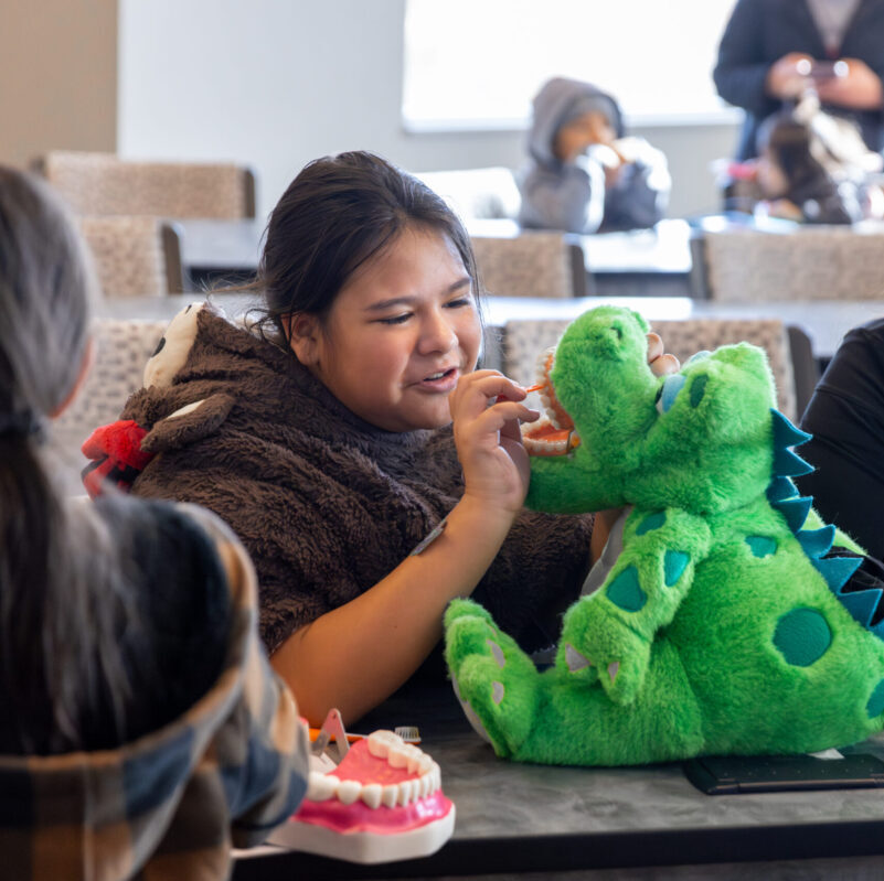 Young girl practices brushing technique on a stuffed animal during Roseman's annual Give Kids a Smile event.