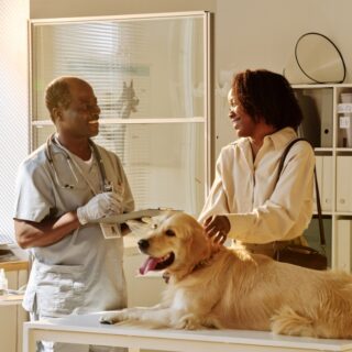 vet with dog and owner