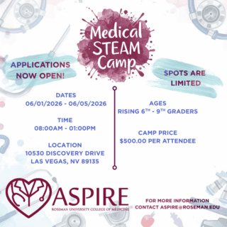 Aspire Steam Camp Picture